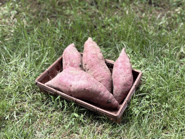 クラス の紹介写真