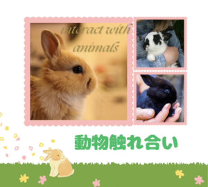 動物ふれあいコーナー