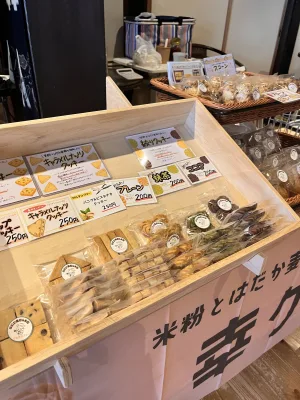 NPO法人 poco pono COCO